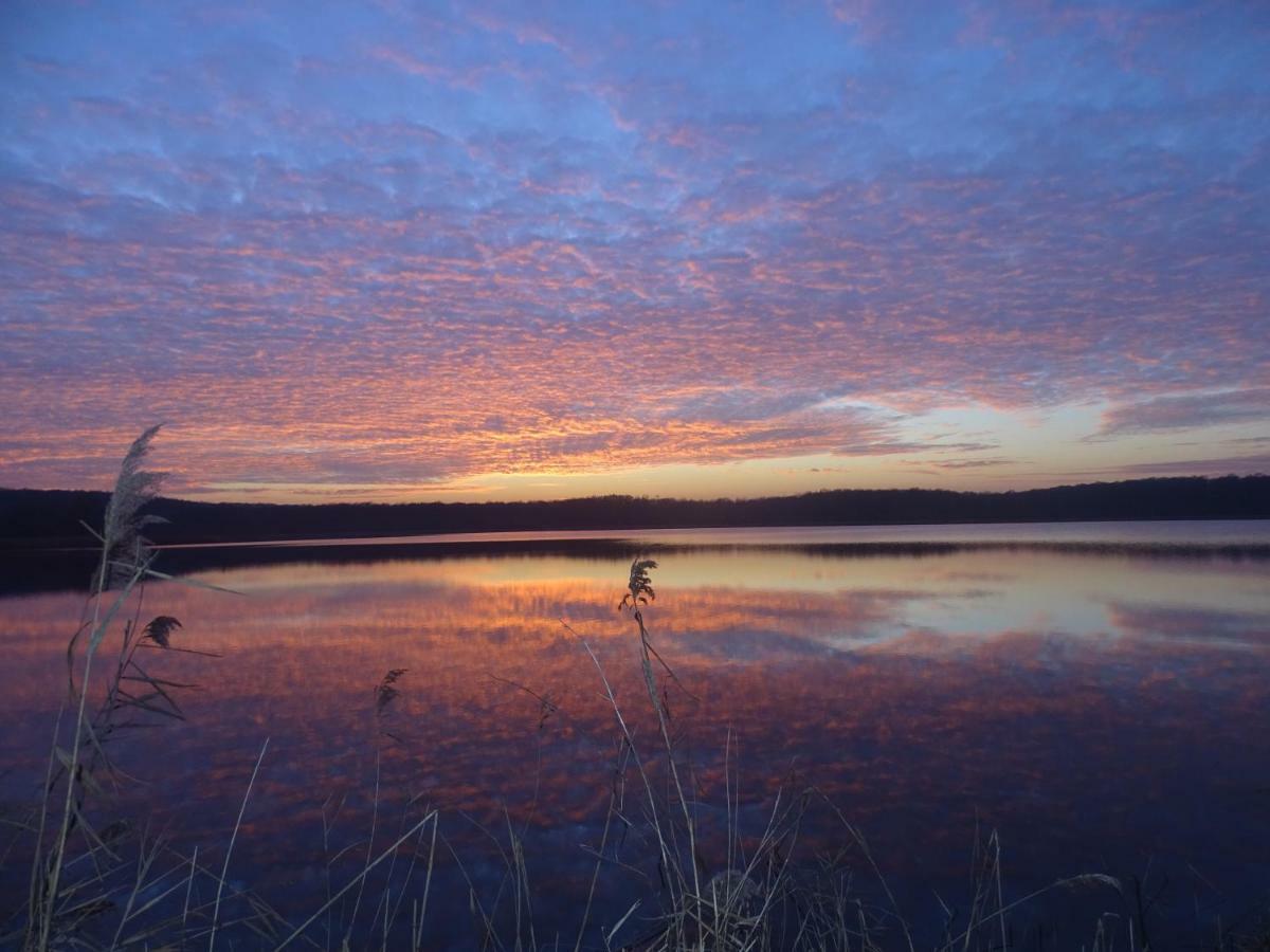 Gite De L'Etang Belval-en-Argonne Bagian luar foto