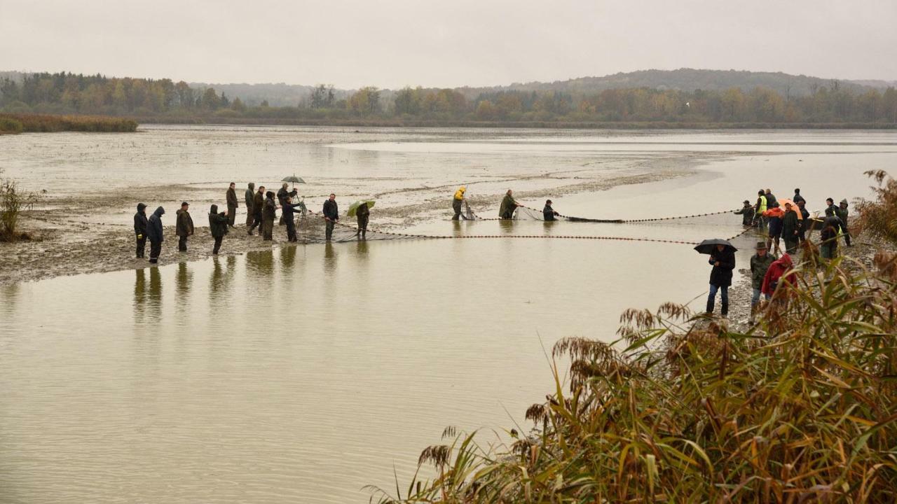 Gite De L'Etang Belval-en-Argonne Bagian luar foto